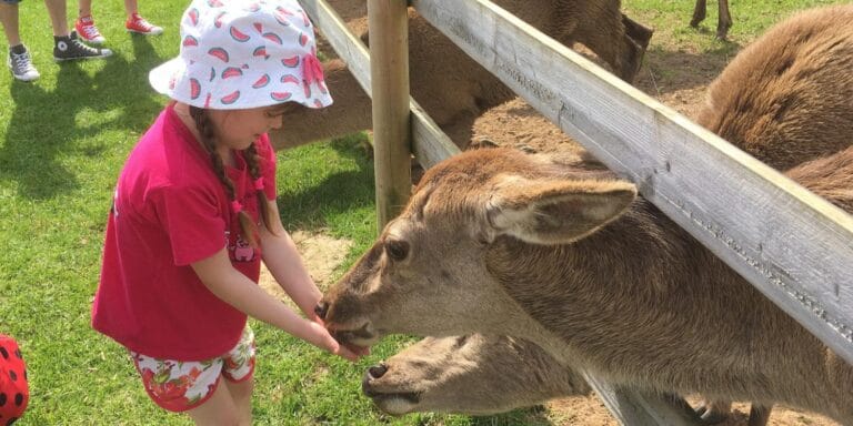 Farmer Palmers 2 768x384