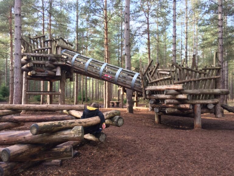 moors valley country park2 768x576
