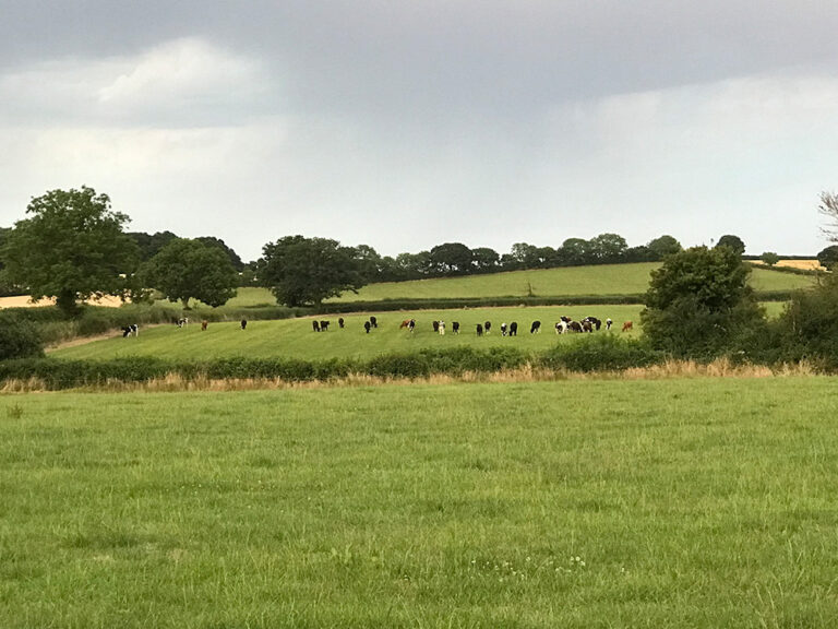 View across fields from Starlight Glamping 768x576