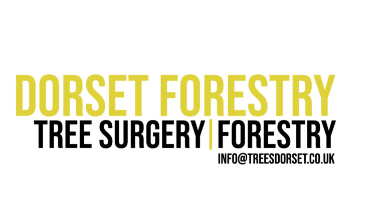 Dorset Forestry Dorset Forestry