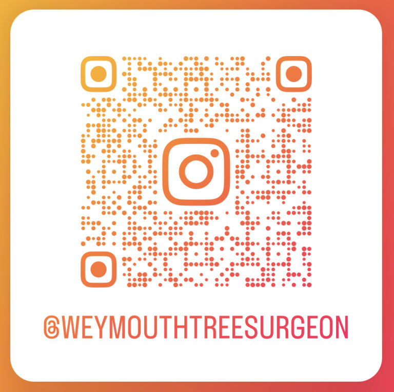 12C7564B E3C8 472F 9928 09314EF6462C 768x763