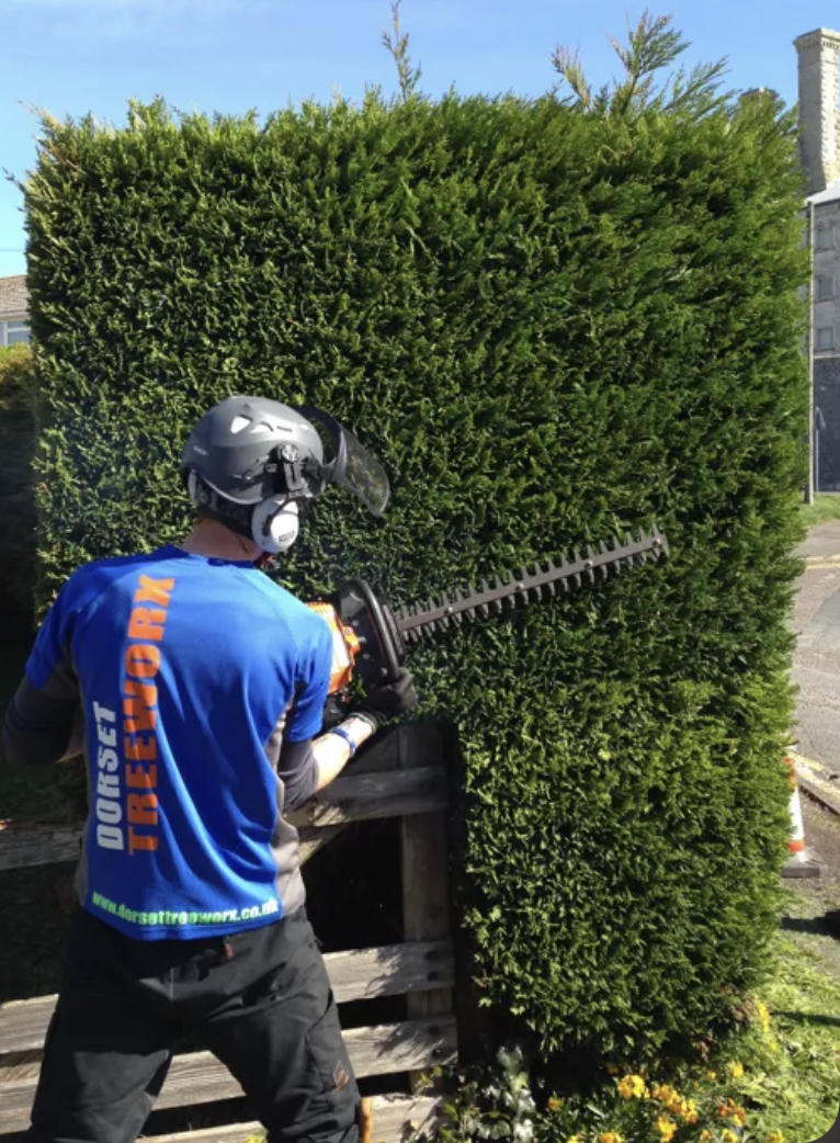 45AAD5C9 5D15 4A36 A794 95C3141F3AE5