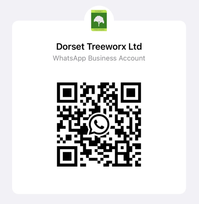 5536C2B4 F607 4AB8 88EC 1BE9BCA91AE4 768x787