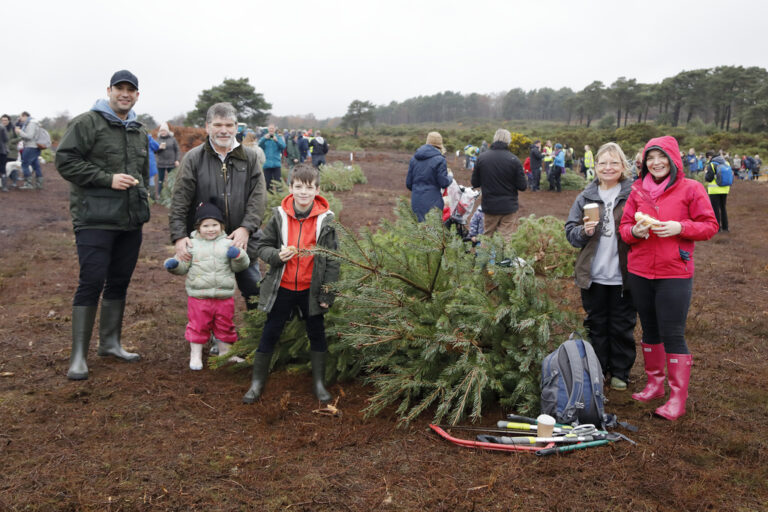People gathering trees at 2018 Pull a Pine event Terry Bagley.5 768x512