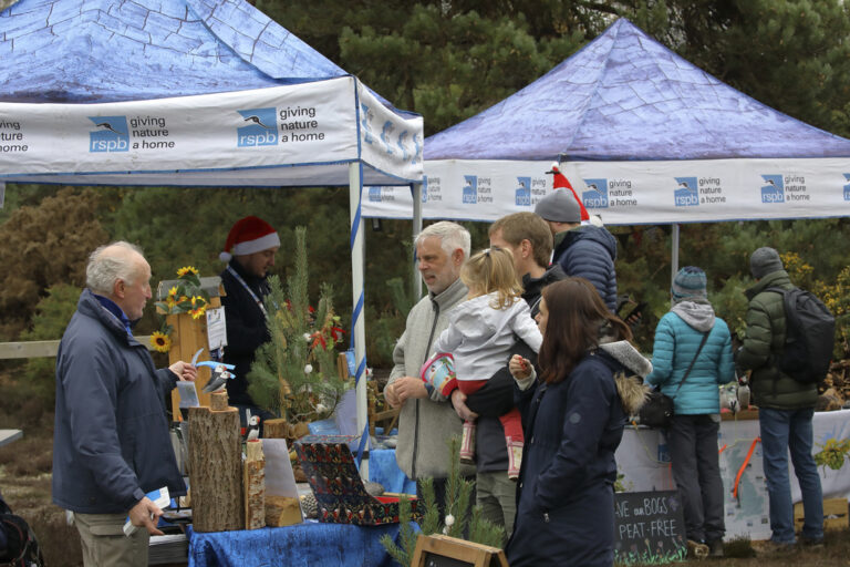 Pull a Pine Event Terry Bagley 20 768x512