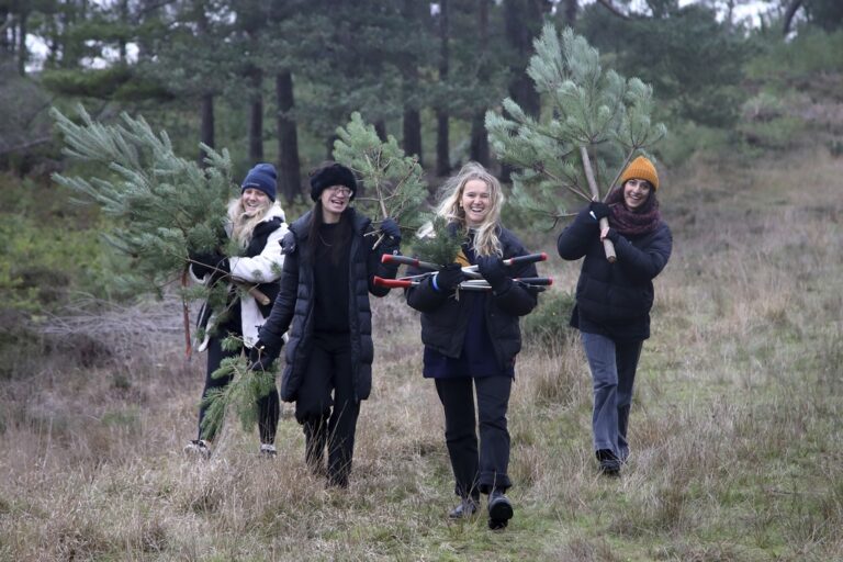 Pull a Pine Event Terry Bagley 6 768x512