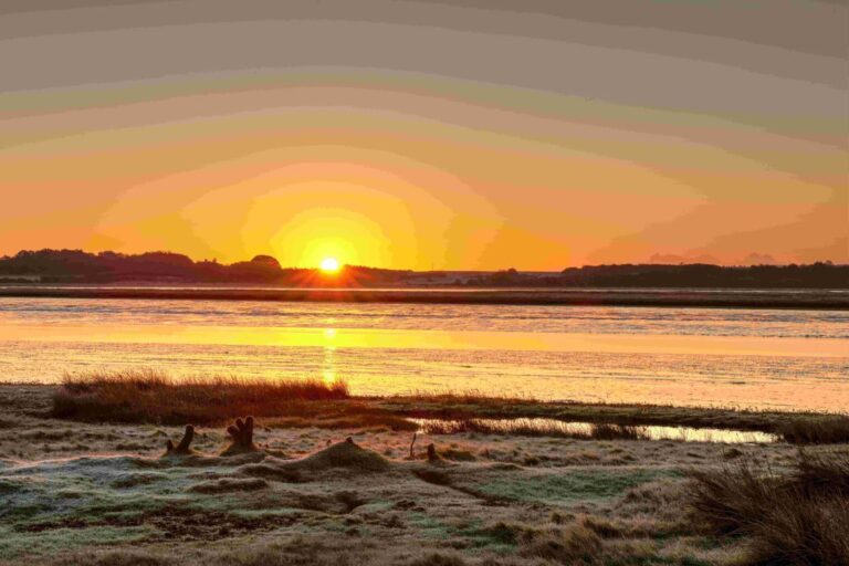 2165267 winter sols 3 768x512