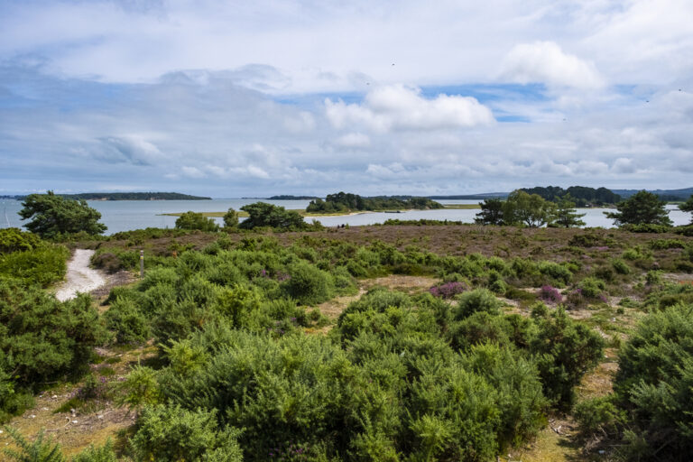 Arne sam turley 768x512