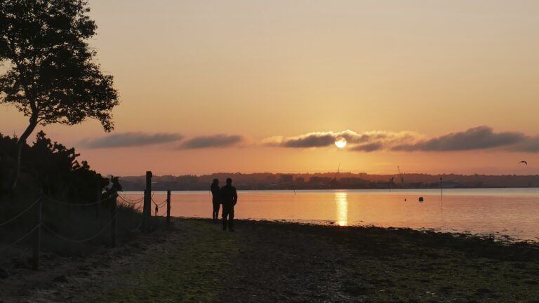 2222036 Annie Parsons crp 768x432