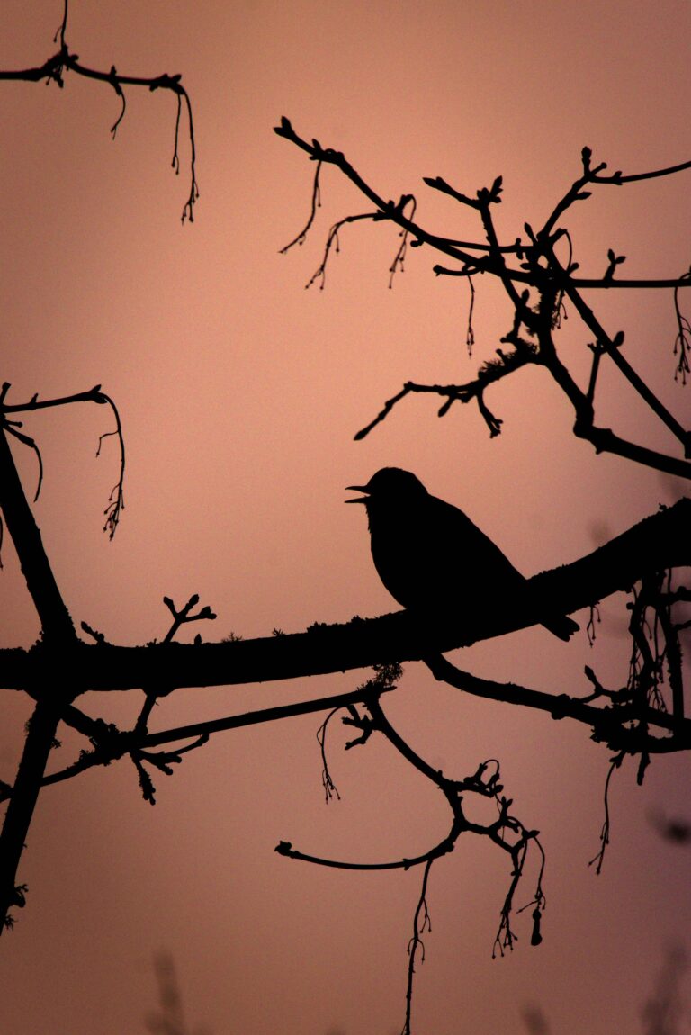 2238121 Annabel Sharpe sml 768x1150