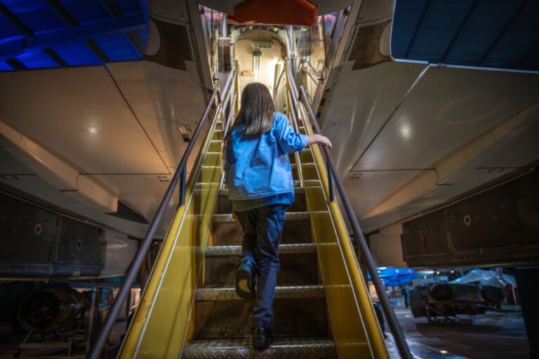 DSC 7276 Enhanced NR 1 768x512