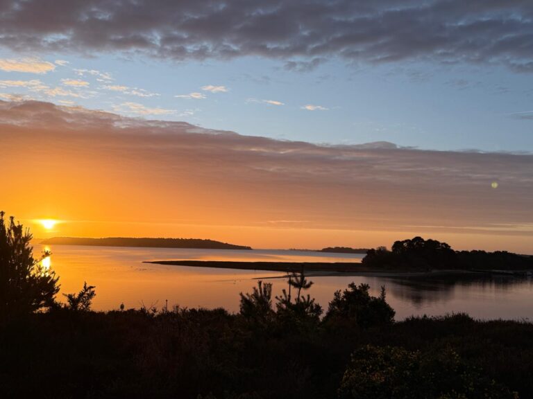 Sunrise 3 29 3 26 Jeanette Huish 768x576